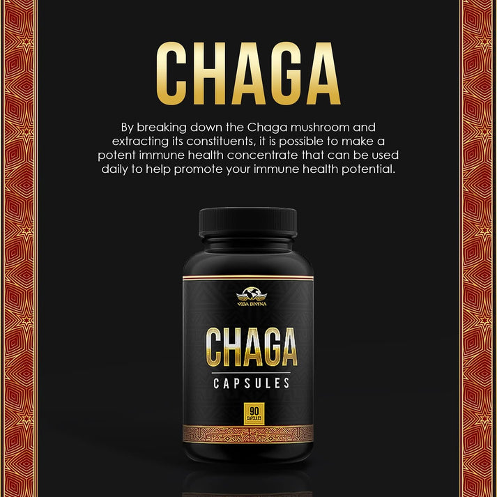 Chaga 