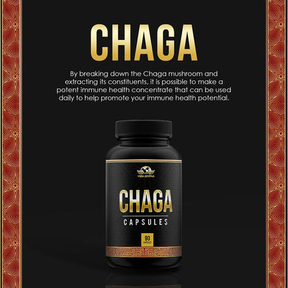 Chaga 